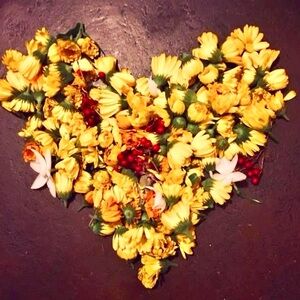 Meet your Posher, Penelope